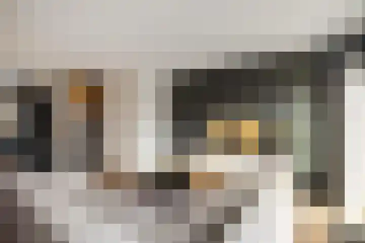 Electrastraat 29 Zuidhorn thumbnail 13