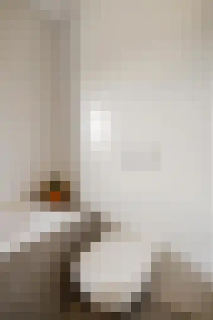 Electrastraat 29 Zuidhorn thumbnail 31