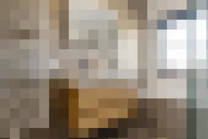 Electrastraat 29 Zuidhorn thumbnail 33