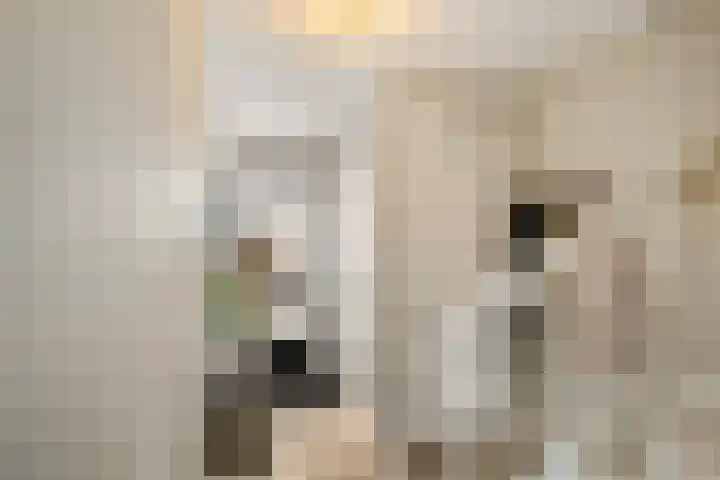 Electrastraat 29 Zuidhorn thumbnail 43