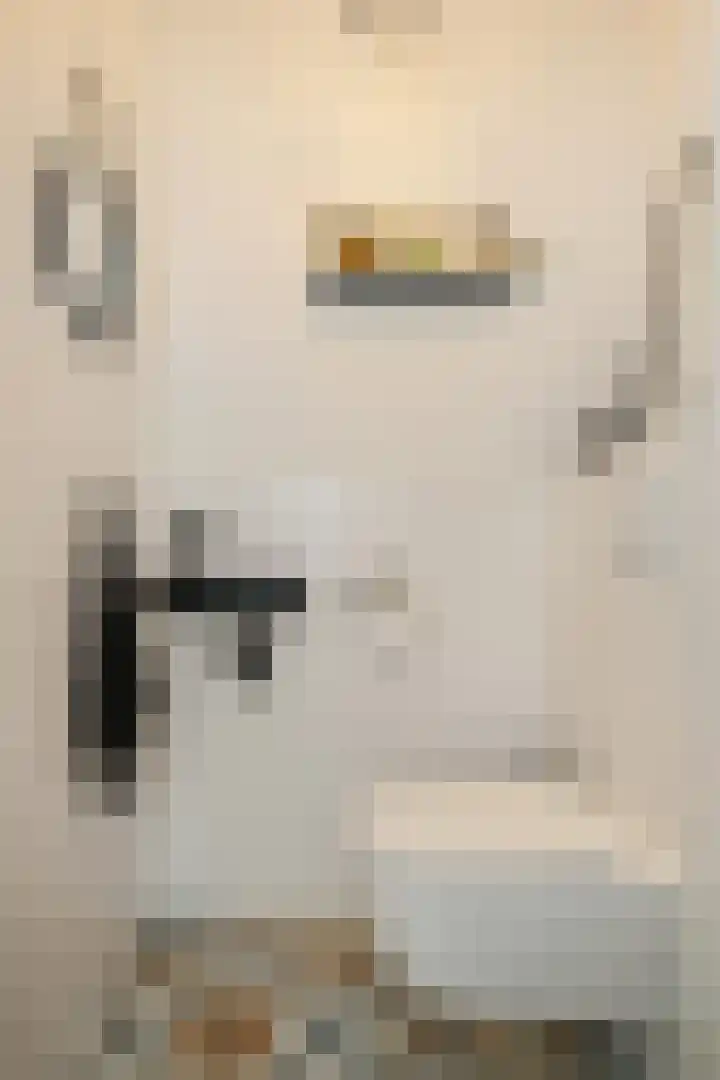 Electrastraat 29 Zuidhorn thumbnail 9