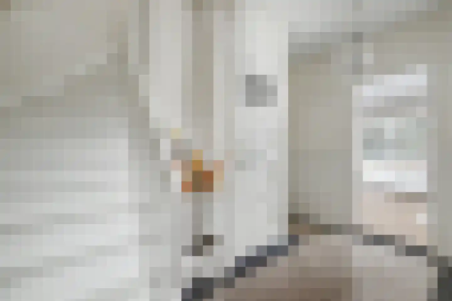 Electrostraat 4 a Ridderkerk thumbnail 11