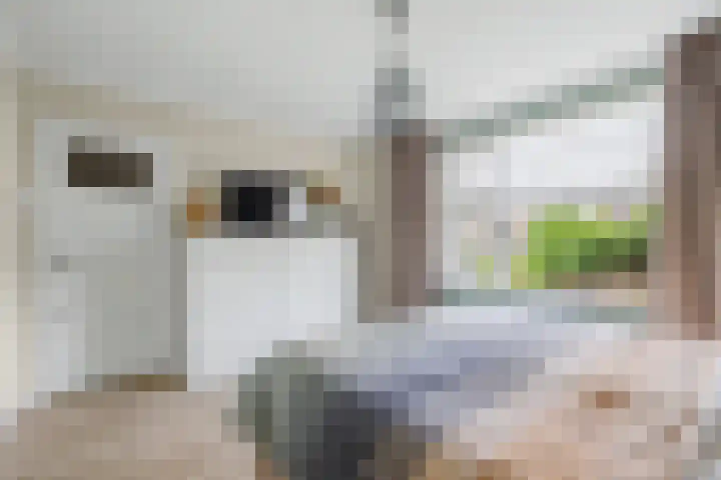 Electrostraat 4 a Ridderkerk thumbnail 44
