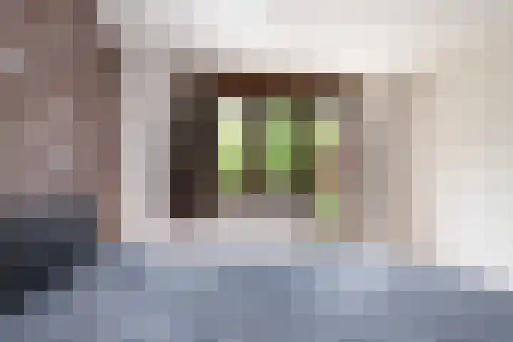 Elegastburg 24 Capelle aan den IJssel thumbnail 27