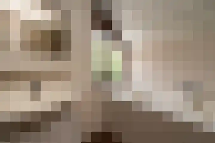 Elegastburg 24 Capelle aan den IJssel thumbnail 33