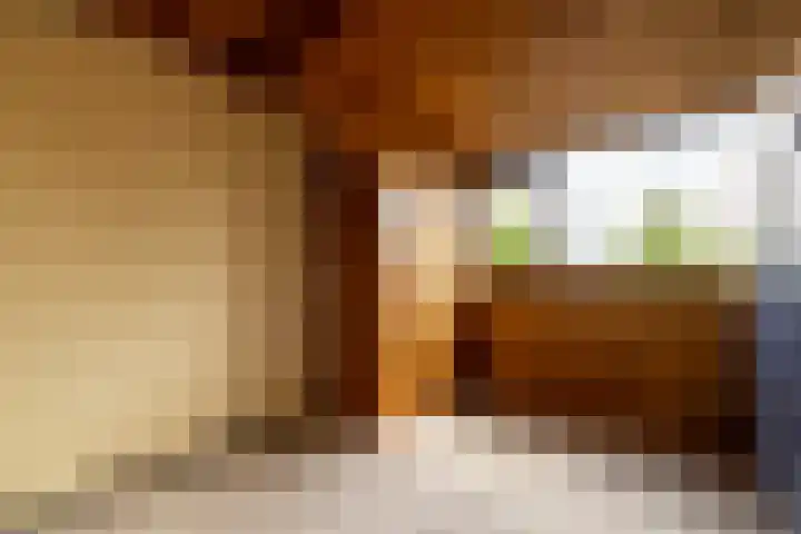 Elegastburg 24 Capelle aan den IJssel thumbnail 38