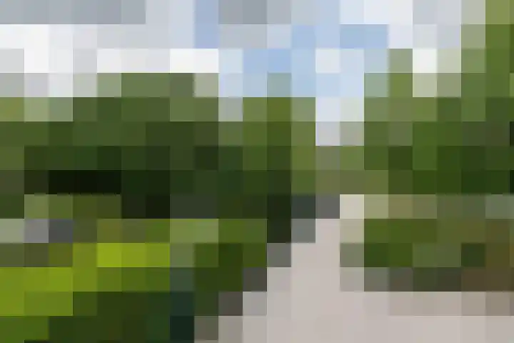 Elegastburg 24 Capelle aan den IJssel thumbnail 42