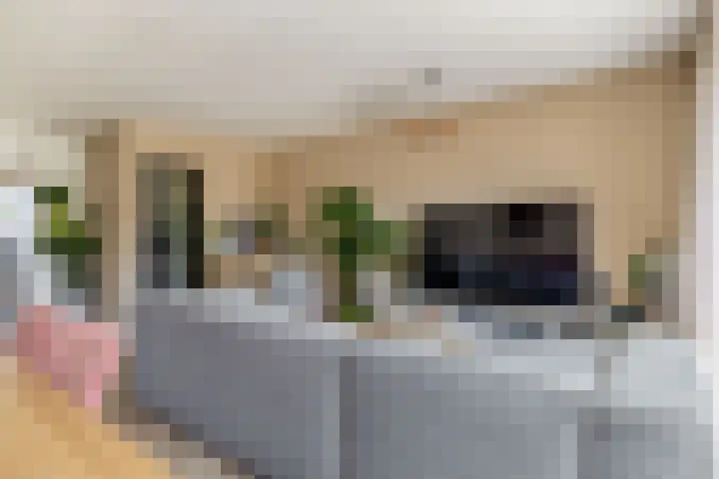 Elegastburg 3 Capelle aan den IJssel thumbnail 13