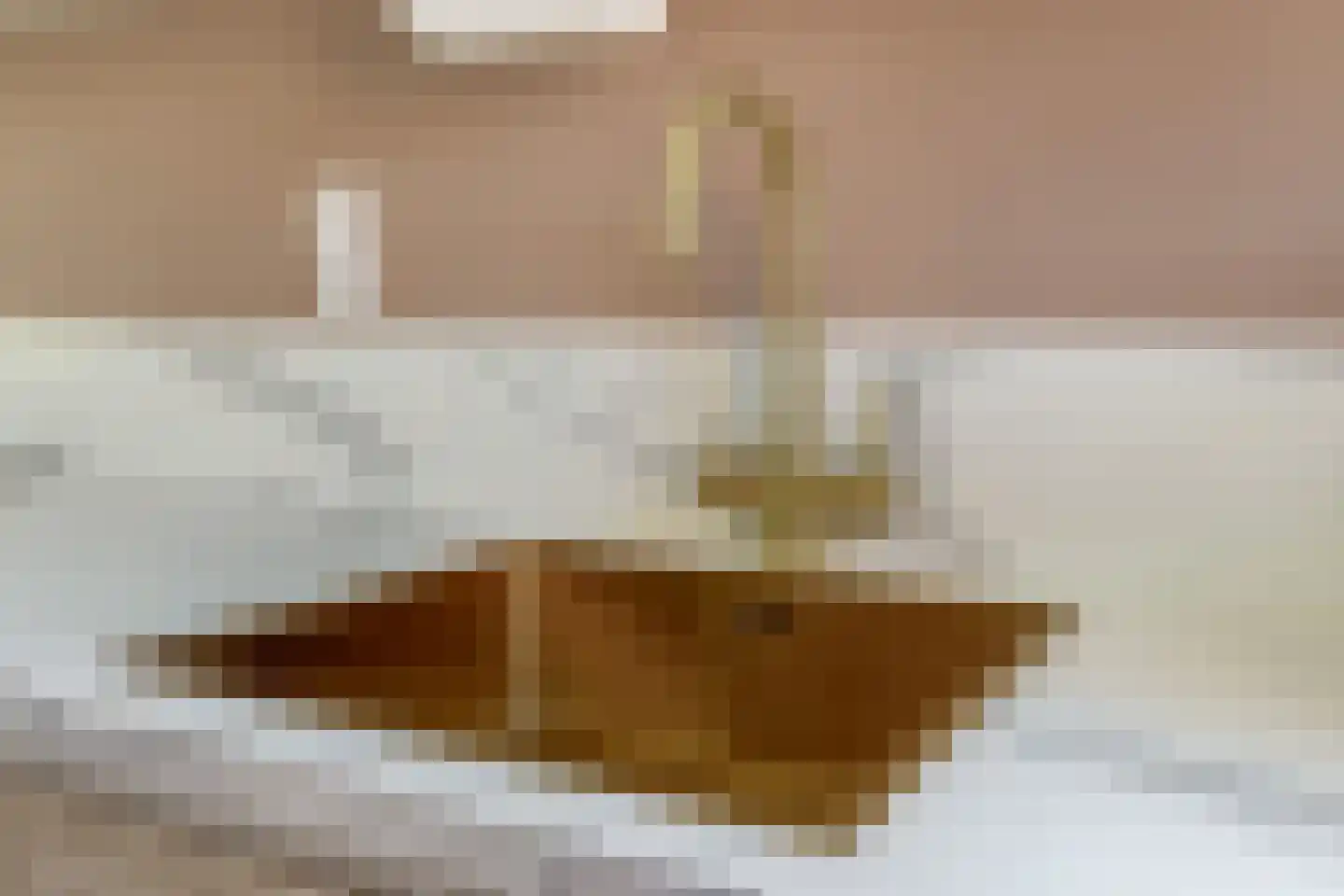 Elegastburg 3 Capelle aan den IJssel thumbnail 21