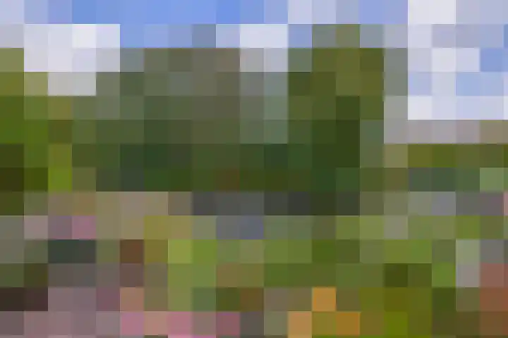 Elegastburg 30 Capelle aan den IJssel thumbnail 31