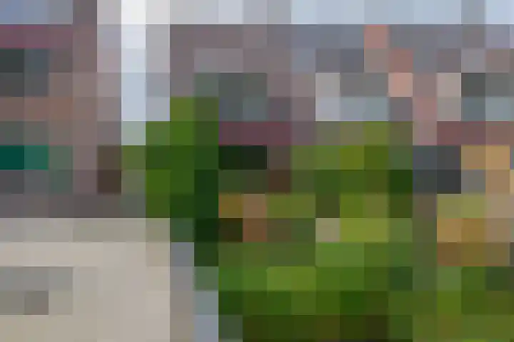 Elegastburg 30 Capelle aan den IJssel thumbnail 34