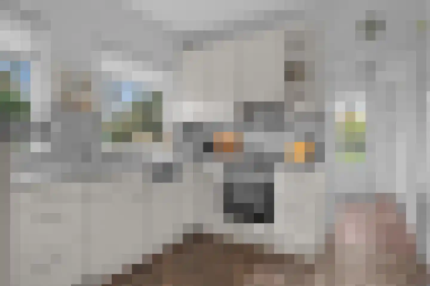Elegastgaarde 1 Apeldoorn thumbnail 10