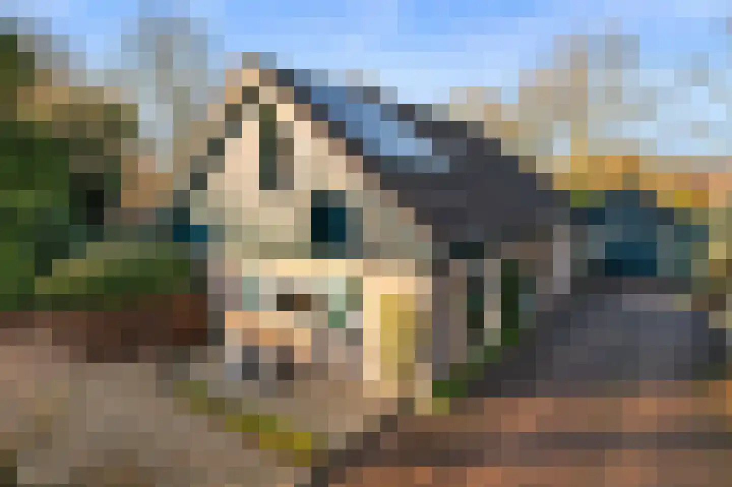Elegastgaarde 1 Apeldoorn thumbnail 40