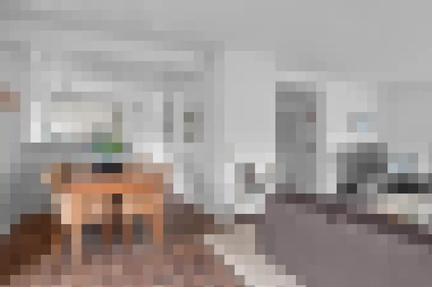 Elegastgaarde 1 Apeldoorn thumbnail 9