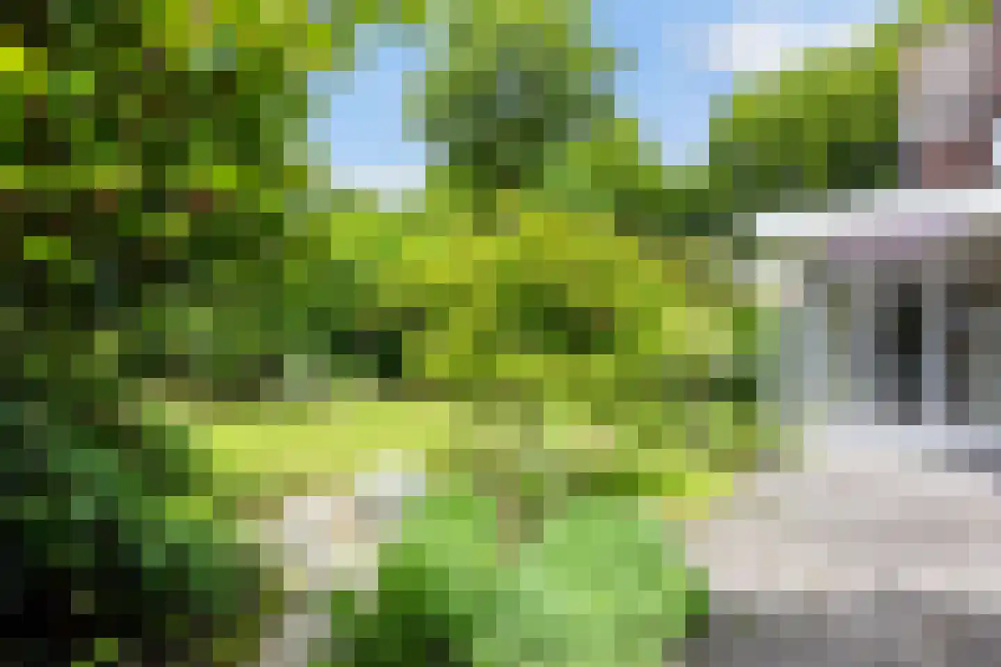 Elegastgaarde 114 Apeldoorn thumbnail 18