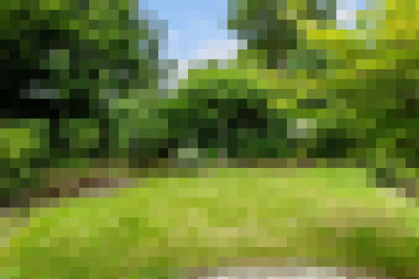 Elegastgaarde 114 Apeldoorn thumbnail 19