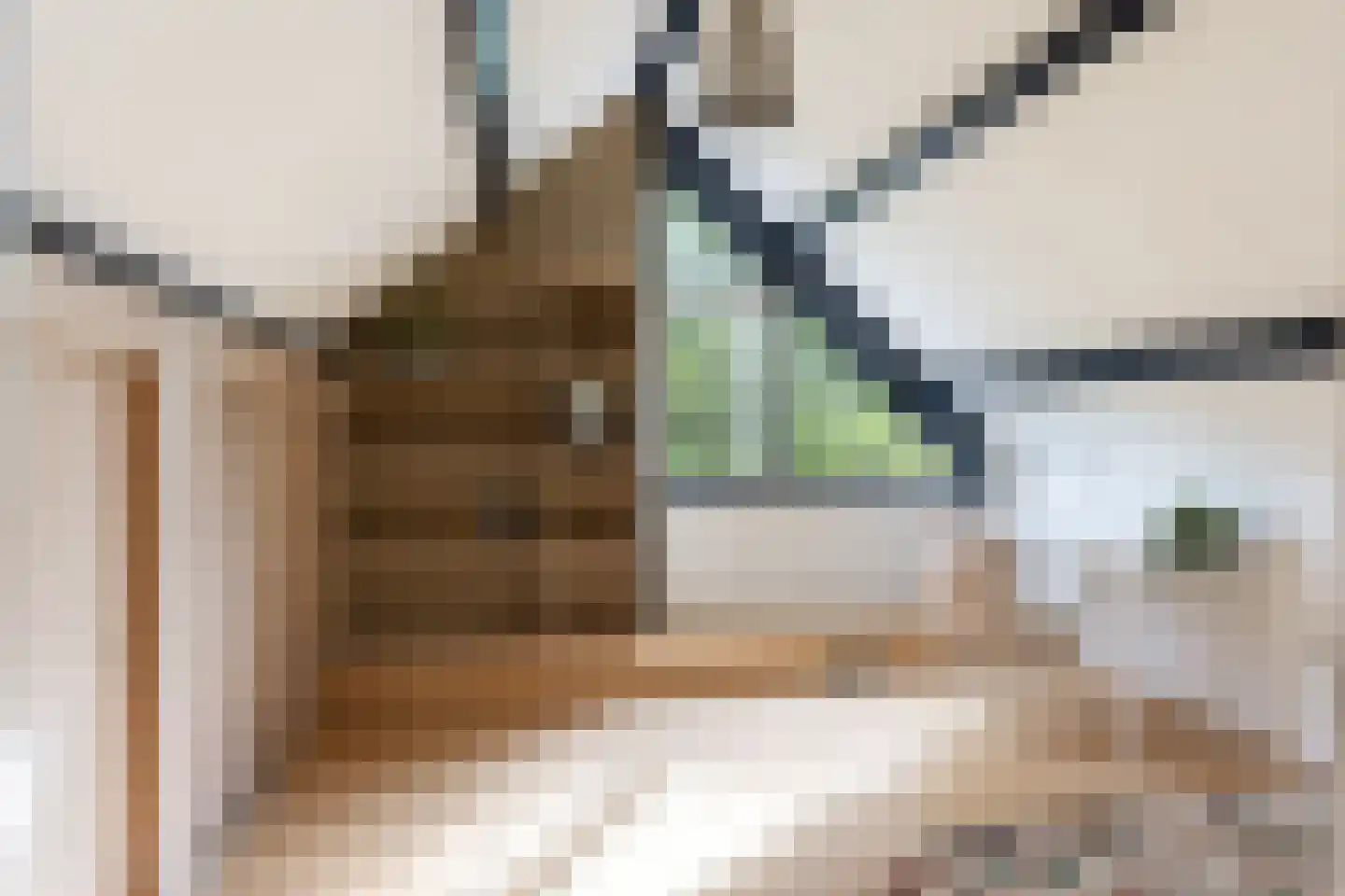 Elegastgaarde 114 Apeldoorn thumbnail 43