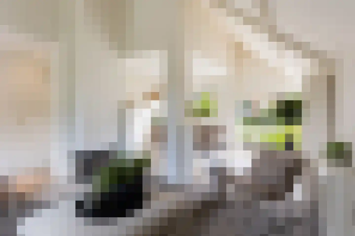 Elegastgaarde 114 Apeldoorn thumbnail 5