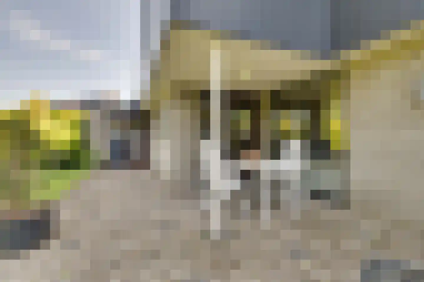 Elegastgaarde 120 Apeldoorn thumbnail 35
