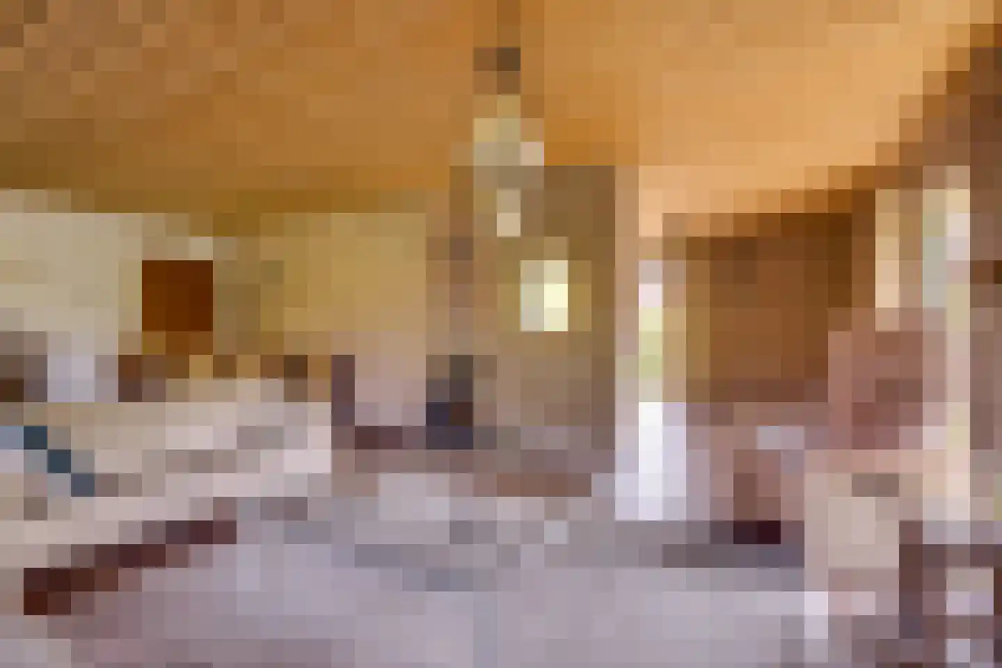 Elegastgaarde 120 Apeldoorn thumbnail 4