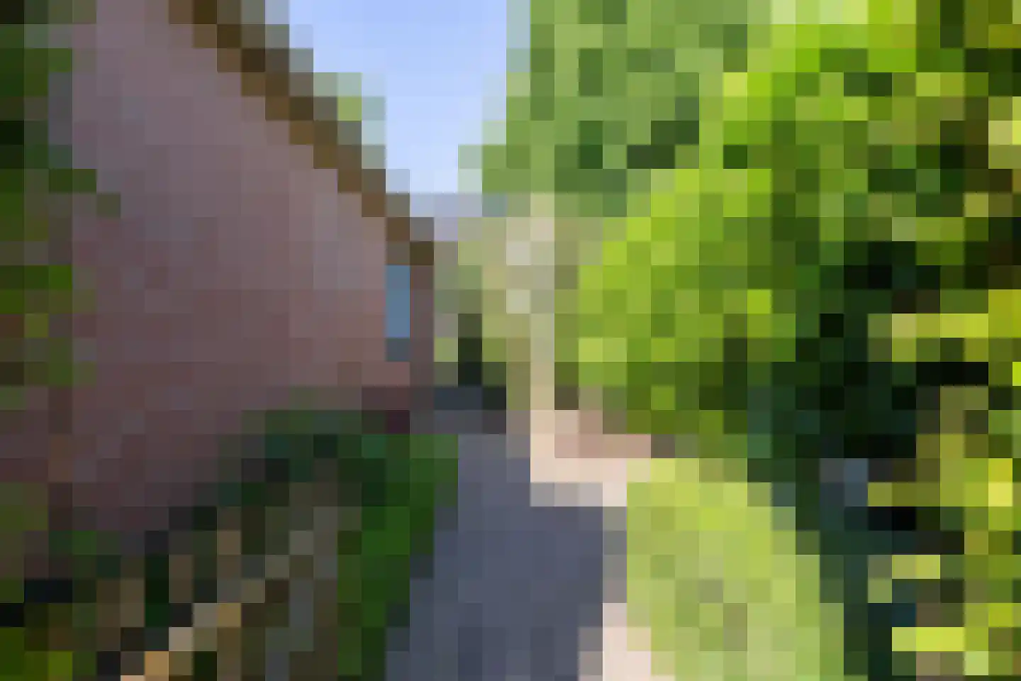 Elegastgaarde 13 Apeldoorn thumbnail 43