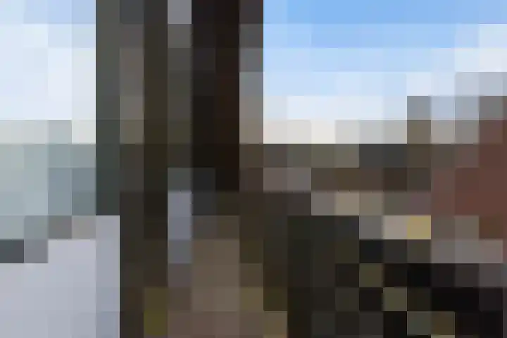 Elegastgaarde 4 Apeldoorn thumbnail 30