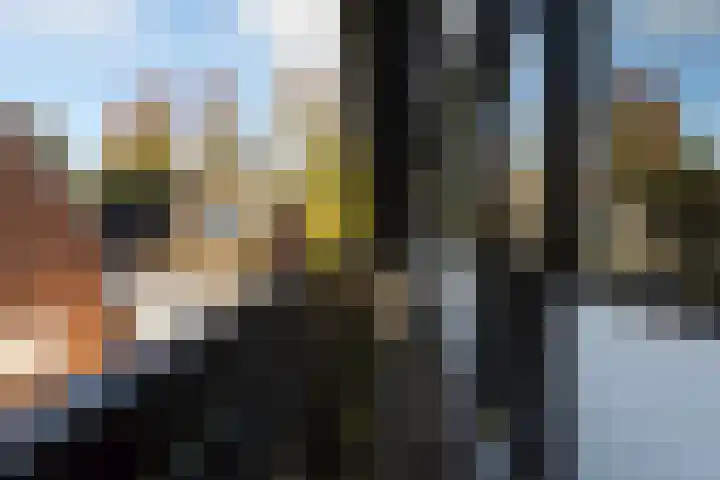Elegastgaarde 4 Apeldoorn thumbnail 31