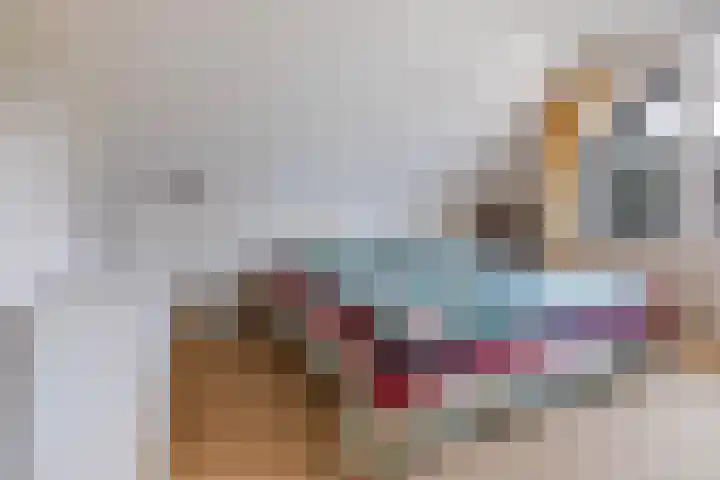 Elegastgaarde 4 Apeldoorn thumbnail 32