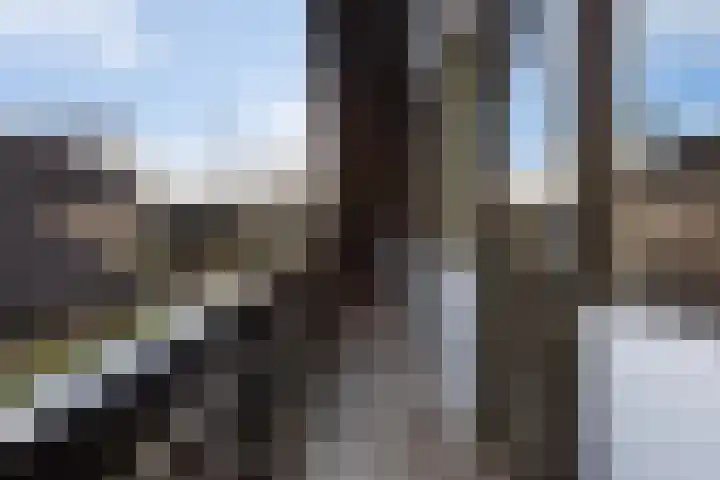 Elegastgaarde 4 Apeldoorn thumbnail 36
