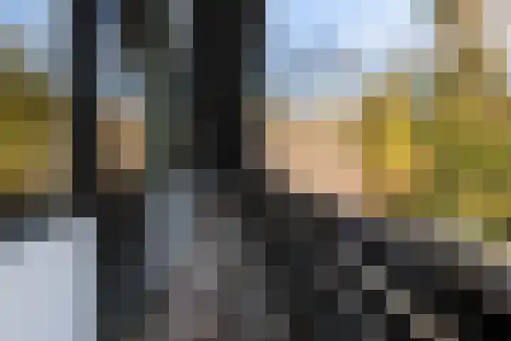 Elegastgaarde 4 Apeldoorn thumbnail 37