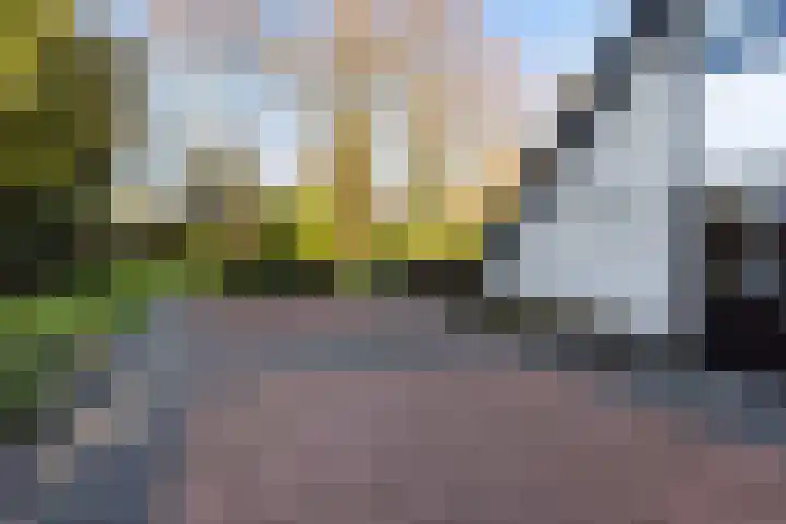 Elegastgaarde 4 Apeldoorn thumbnail 47