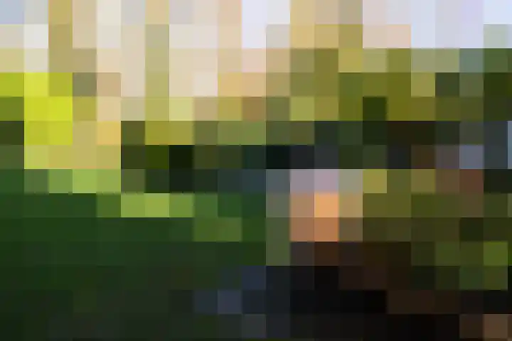 Elegastgaarde 4 Apeldoorn thumbnail 48