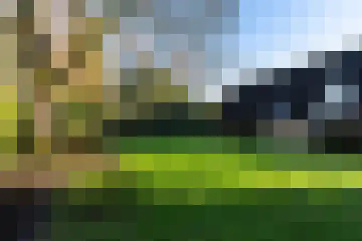 Elegastgaarde 4 Apeldoorn thumbnail 51