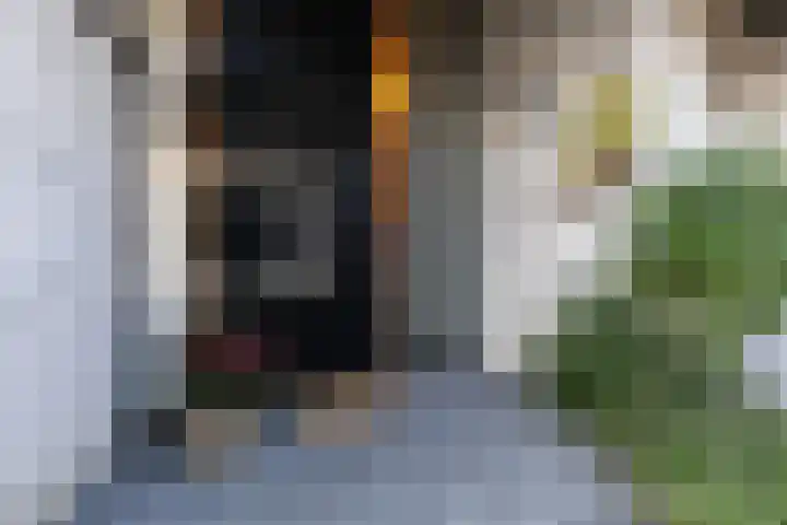 Elegastgaarde 4 Apeldoorn thumbnail 54