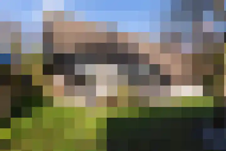 Elegastgaarde 4 Apeldoorn thumbnail 55