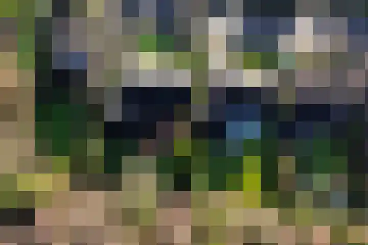 Elegastgaarde 4 Apeldoorn thumbnail 58
