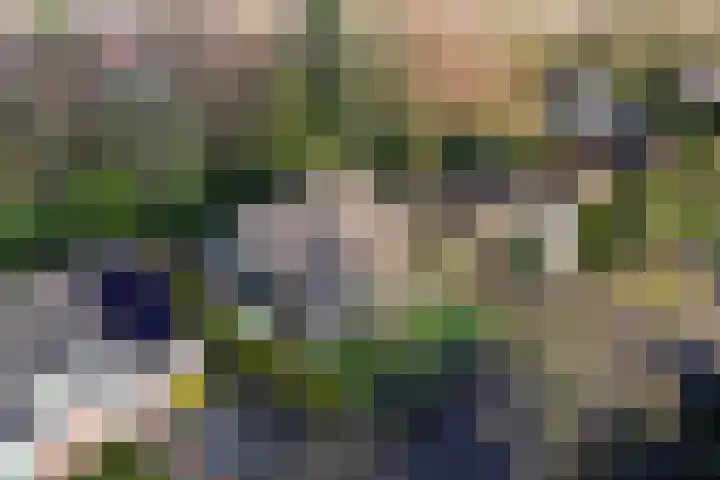Elegastgaarde 4 Apeldoorn thumbnail 60
