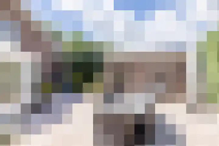 Elegaststraat 12 Geleen thumbnail 31