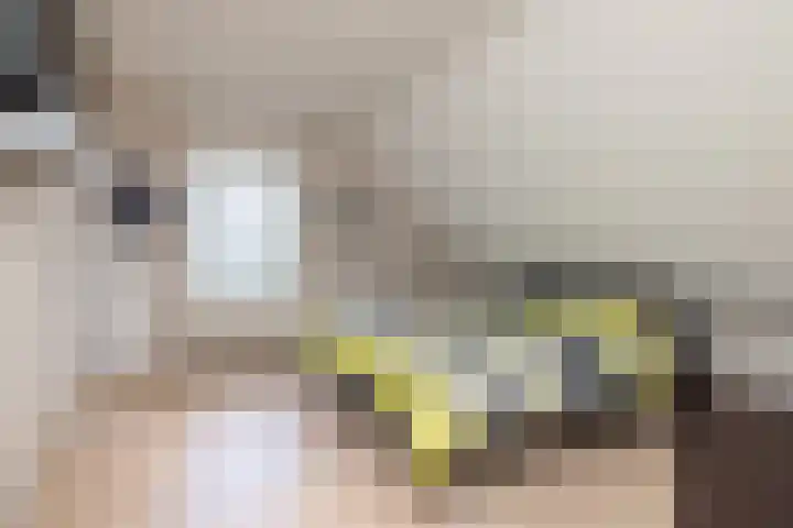 Elegaststraat 12 Geleen thumbnail 34
