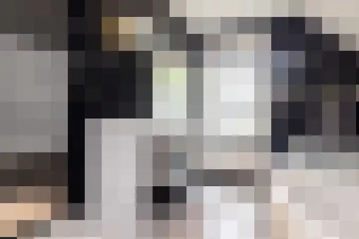 Elegaststraat 12 Geleen thumbnail 41