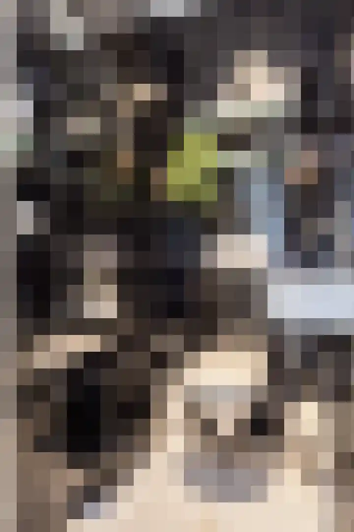 Elegaststraat 12 Geleen thumbnail 6
