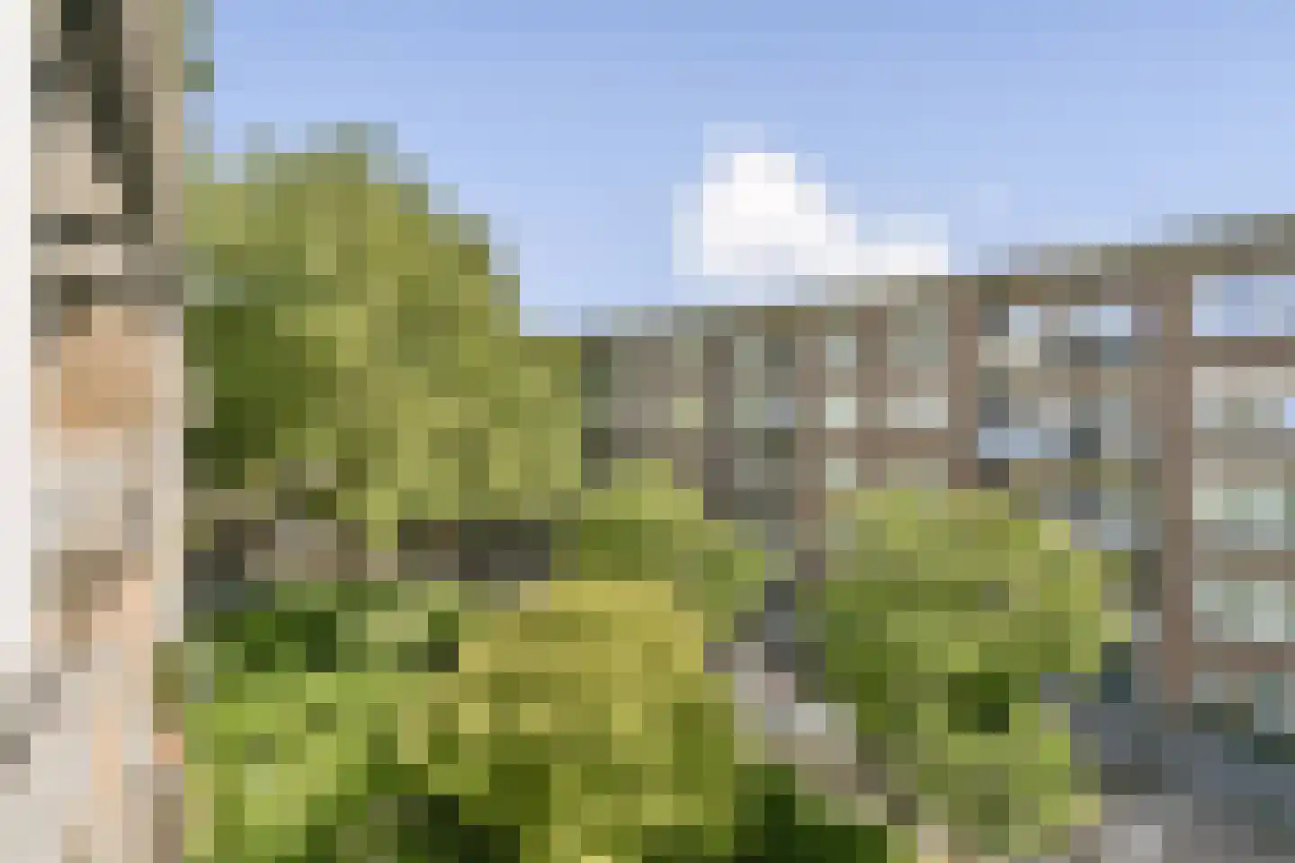 Elegaststraat 20 2 Amsterdam thumbnail 13