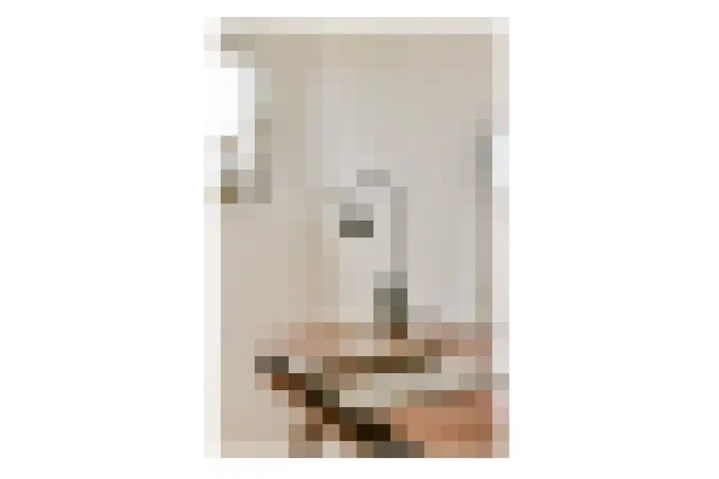 Elegaststraat 20 2 Amsterdam thumbnail 19