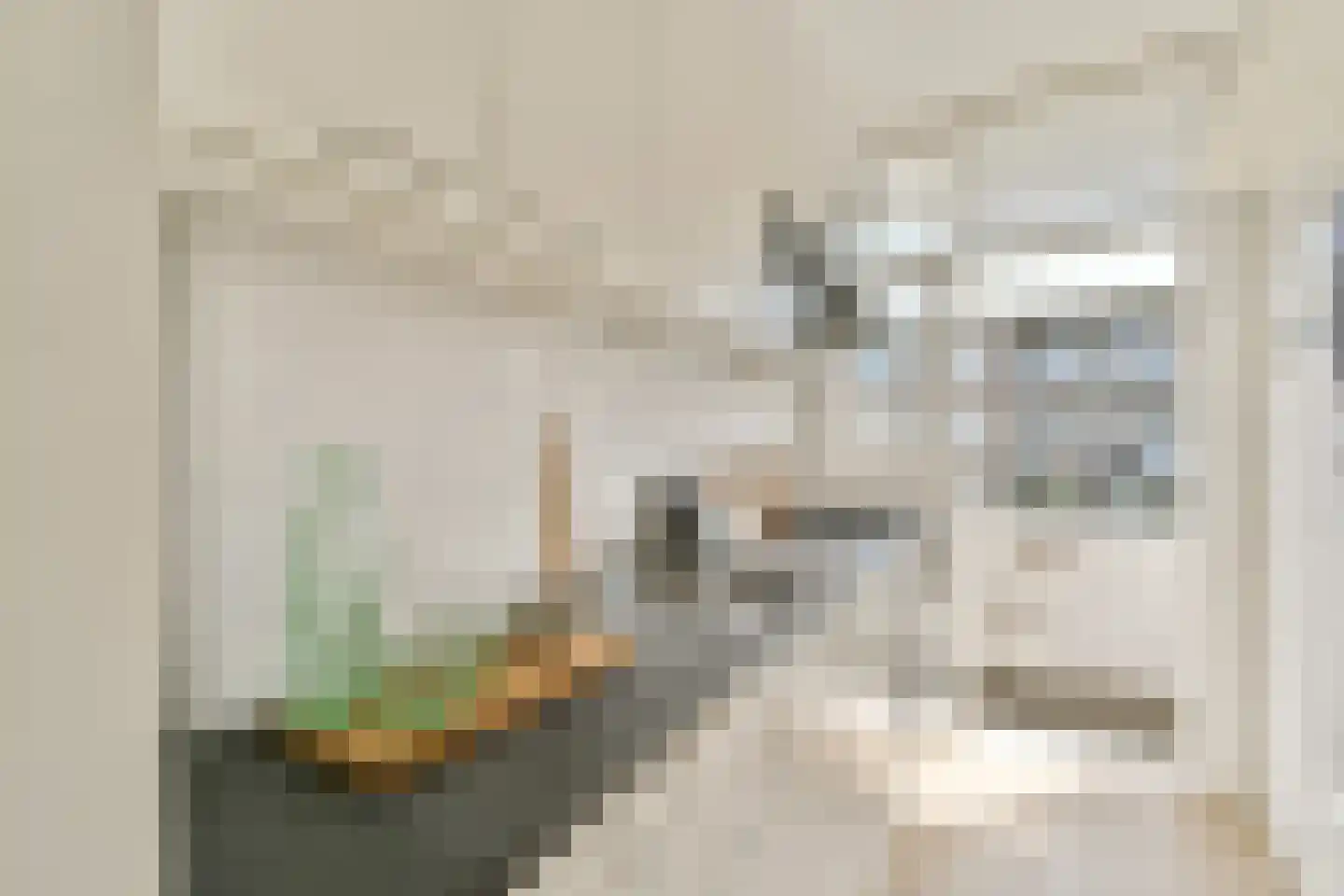 Elegaststraat 20 2 Amsterdam thumbnail 8