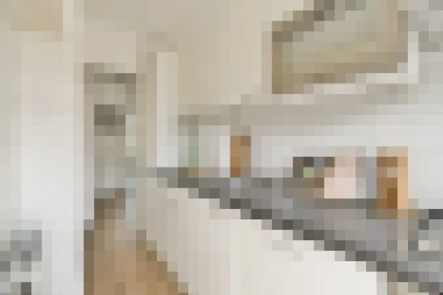 Elegaststraat 20 2 Amsterdam thumbnail 9