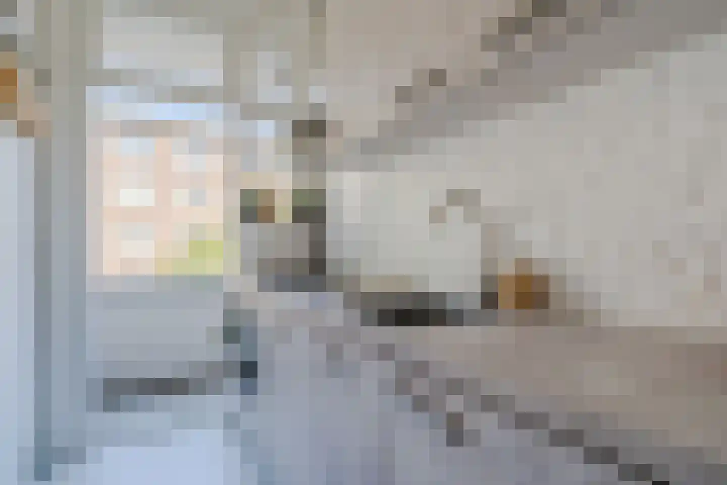 Elegaststraat 23 1 Amsterdam thumbnail 8