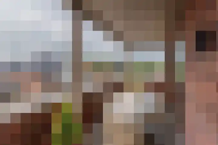 Elektra 37 Nijkerk thumbnail 15