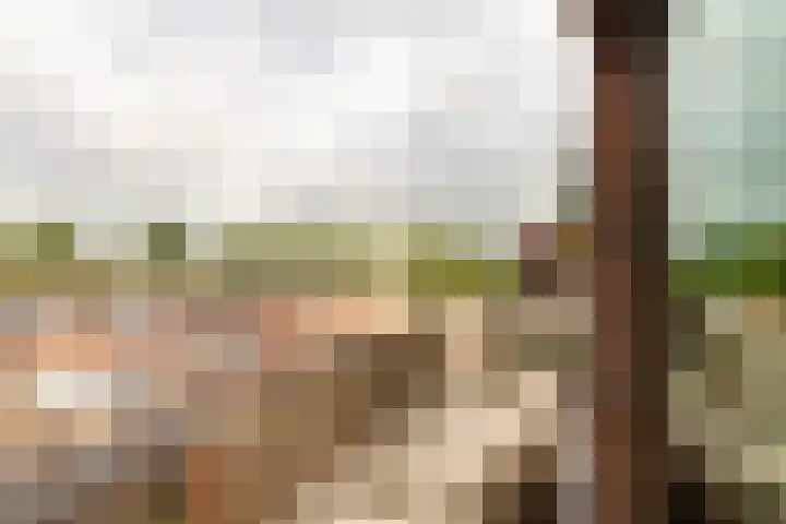 Elektra 37 Nijkerk thumbnail 17