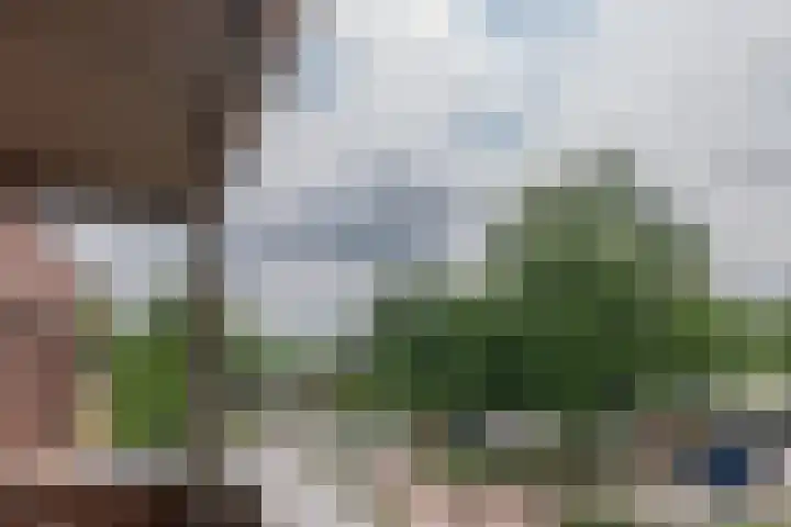 Elektra 37 Nijkerk thumbnail 19