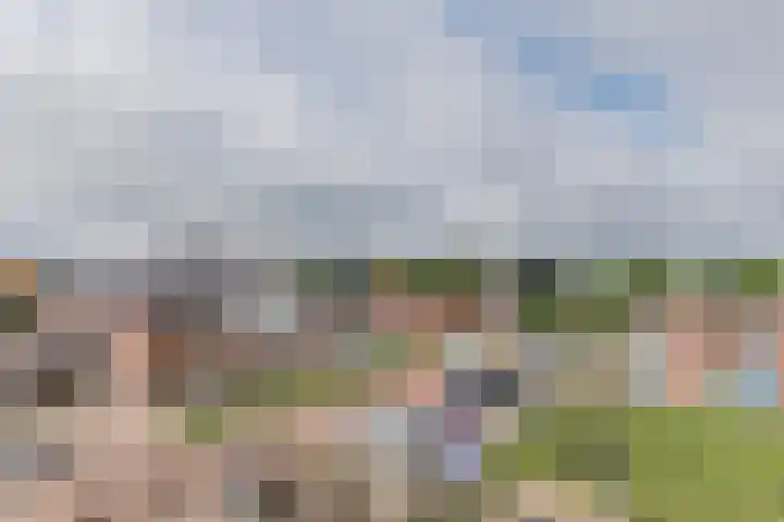 Elektra 37 Nijkerk thumbnail 20